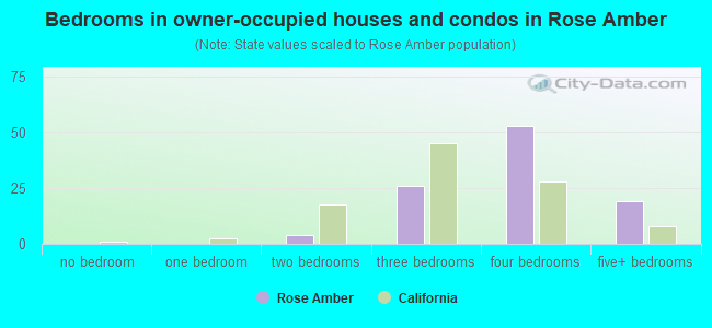 Bedrooms in owner-occupied houses and condos in Rose Amber