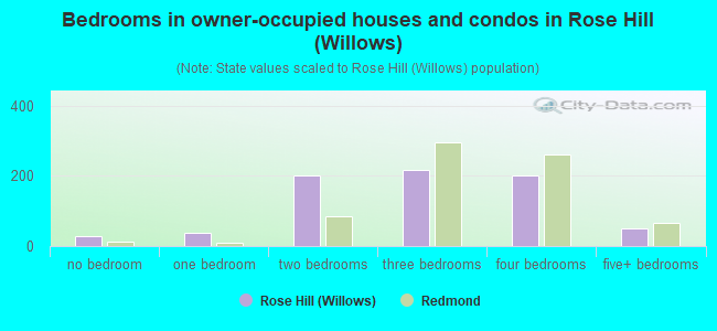 Bedrooms in owner-occupied houses and condos in Rose Hill (Willows)