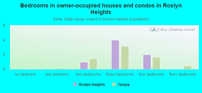 Bedrooms in owner-occupied houses and condos in Roslyn Heights