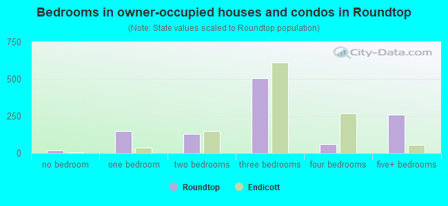 Bedrooms in owner-occupied houses and condos in Roundtop