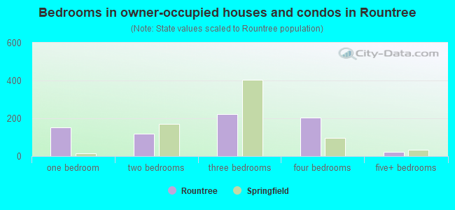 Bedrooms in owner-occupied houses and condos in Rountree