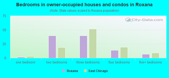 Bedrooms in owner-occupied houses and condos in Roxana