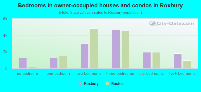 Bedrooms in owner-occupied houses and condos in Roxbury