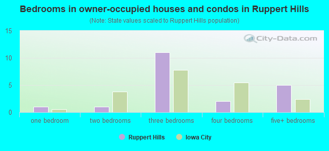 Bedrooms in owner-occupied houses and condos in Ruppert Hills