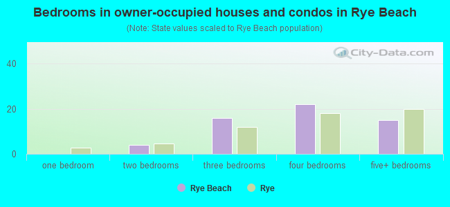 Bedrooms in owner-occupied houses and condos in Rye Beach