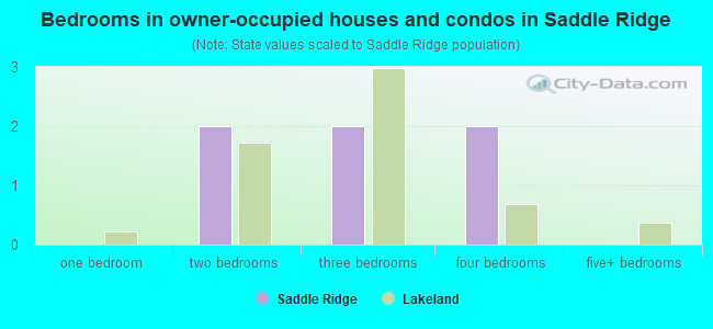 Bedrooms in owner-occupied houses and condos in Saddle Ridge
