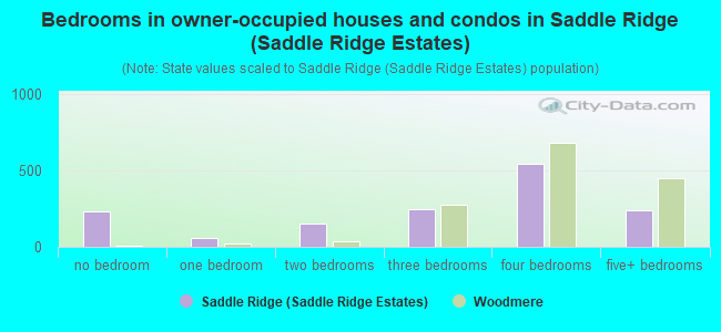 Bedrooms in owner-occupied houses and condos in Saddle Ridge (Saddle Ridge Estates)
