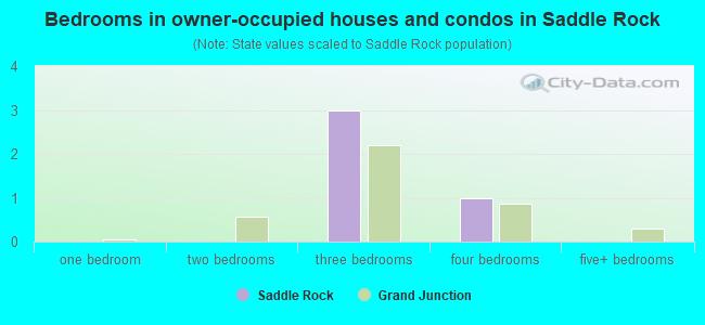 Bedrooms in owner-occupied houses and condos in Saddle Rock