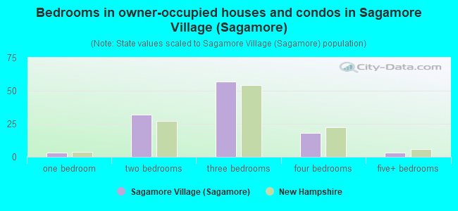 Bedrooms in owner-occupied houses and condos in Sagamore Village (Sagamore)