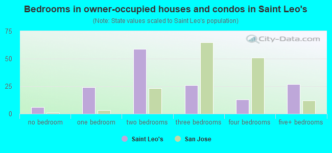 Bedrooms in owner-occupied houses and condos in Saint Leo's