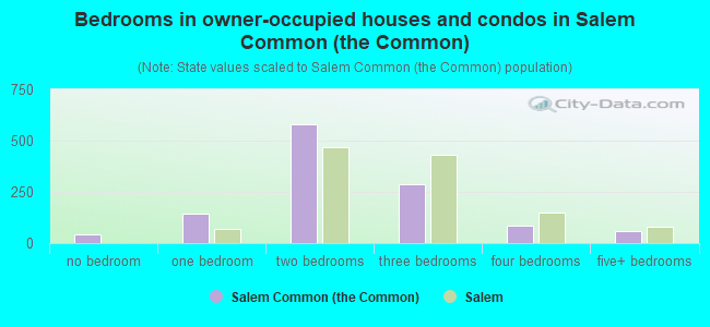 Bedrooms in owner-occupied houses and condos in Salem Common (the Common)