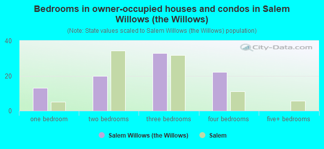 Bedrooms in owner-occupied houses and condos in Salem Willows (the Willows)