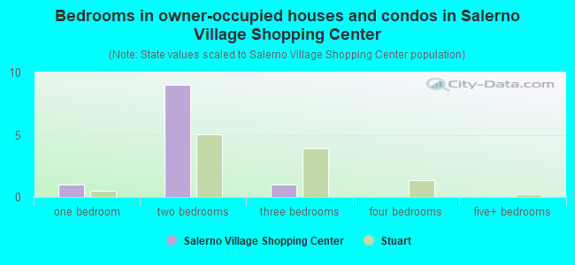 Bedrooms in owner-occupied houses and condos in Salerno Village Shopping Center
