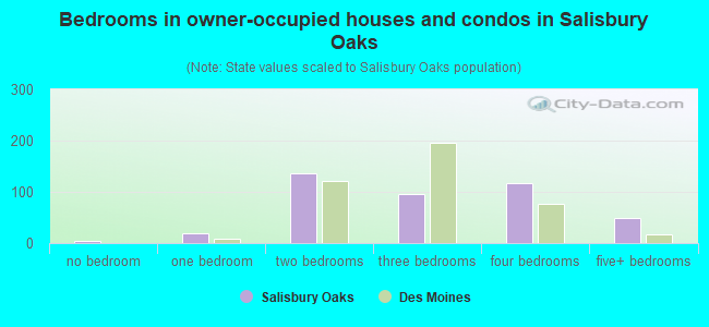Bedrooms in owner-occupied houses and condos in Salisbury Oaks