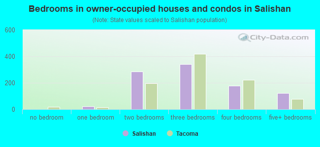 Bedrooms in owner-occupied houses and condos in Salishan