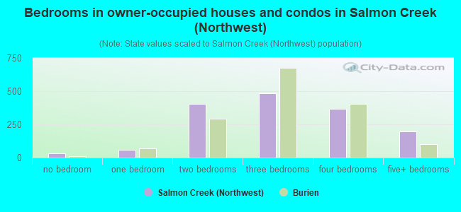 Bedrooms in owner-occupied houses and condos in Salmon Creek (Northwest)