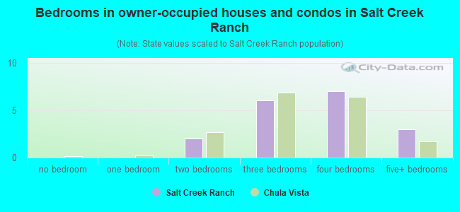 Bedrooms in owner-occupied houses and condos in Salt Creek Ranch