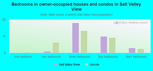 Bedrooms in owner-occupied houses and condos in Salt Valley View