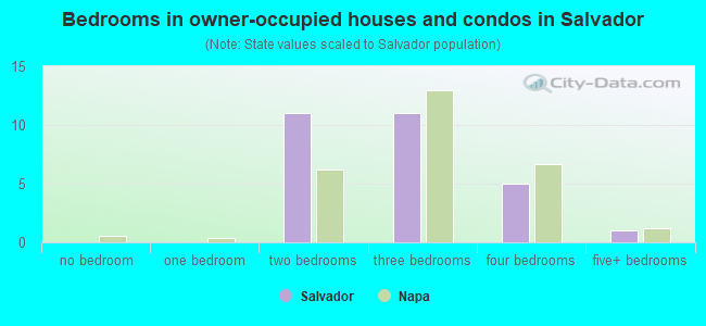 Bedrooms in owner-occupied houses and condos in Salvador