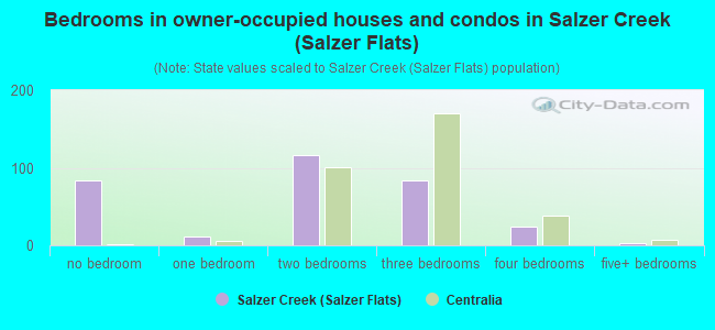 Bedrooms in owner-occupied houses and condos in Salzer Creek (Salzer Flats)