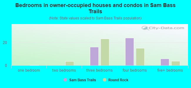 Bedrooms in owner-occupied houses and condos in Sam Bass Trails