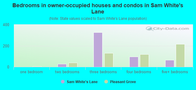 Bedrooms in owner-occupied houses and condos in Sam White's Lane
