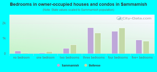 Bedrooms in owner-occupied houses and condos in Sammamish