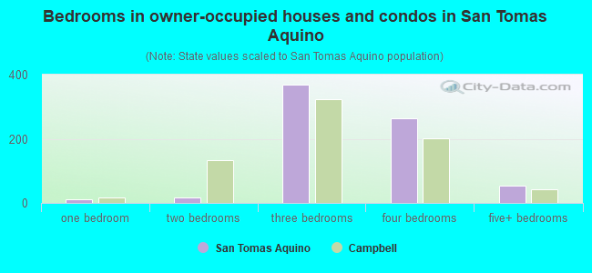 Bedrooms in owner-occupied houses and condos in San Tomas Aquino
