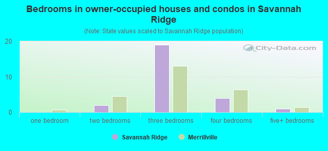 Bedrooms in owner-occupied houses and condos in Savannah Ridge