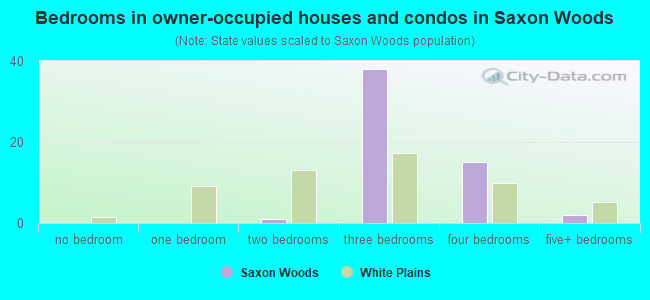 Bedrooms in owner-occupied houses and condos in Saxon Woods