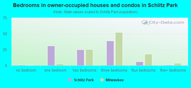 Bedrooms in owner-occupied houses and condos in Schlitz Park