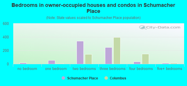 Bedrooms in owner-occupied houses and condos in Schumacher Place