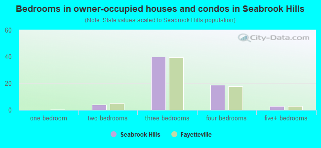 Bedrooms in owner-occupied houses and condos in Seabrook Hills