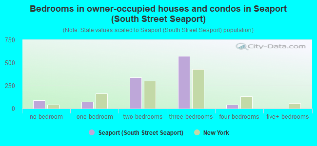 Bedrooms in owner-occupied houses and condos in Seaport (South Street Seaport)