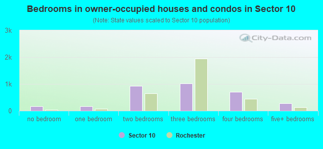 Bedrooms in owner-occupied houses and condos in Sector 10