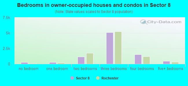 Bedrooms in owner-occupied houses and condos in Sector 8