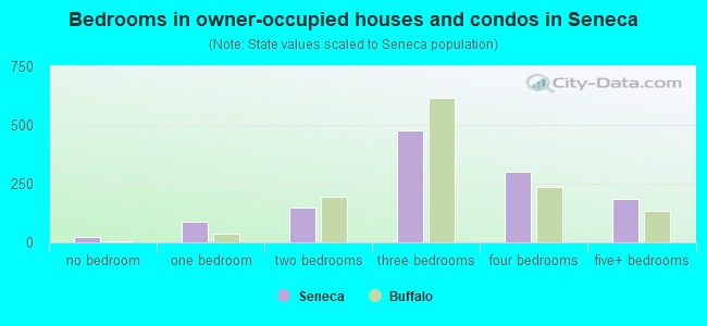 Bedrooms in owner-occupied houses and condos in Seneca