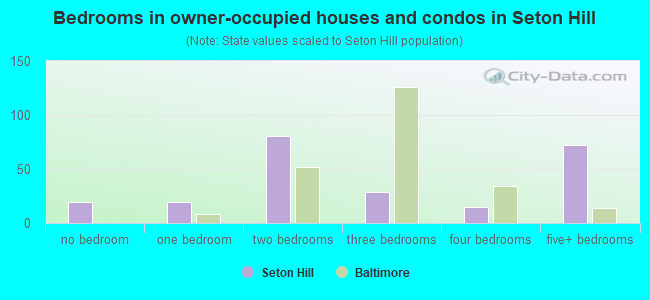 Bedrooms in owner-occupied houses and condos in Seton Hill