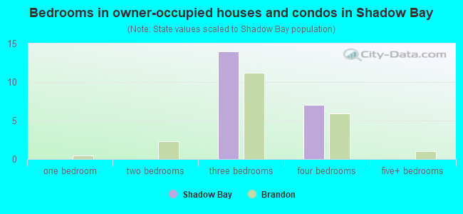 Bedrooms in owner-occupied houses and condos in Shadow Bay
