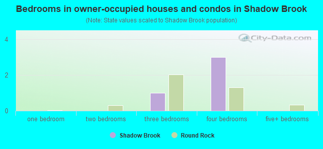 Bedrooms in owner-occupied houses and condos in Shadow Brook