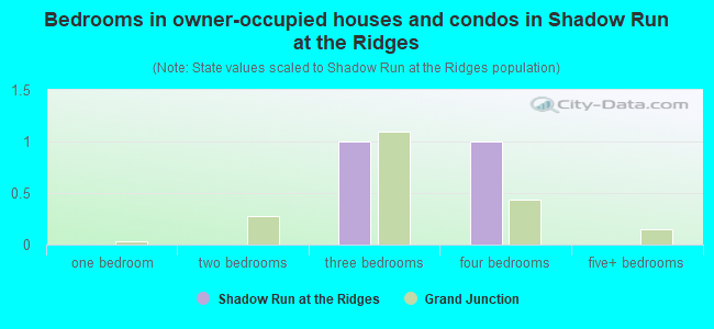 Bedrooms in owner-occupied houses and condos in Shadow Run at the Ridges