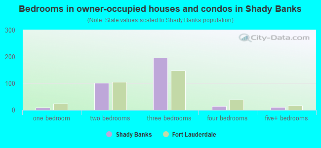 Bedrooms in owner-occupied houses and condos in Shady Banks