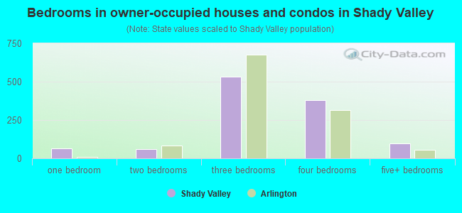 Bedrooms in owner-occupied houses and condos in Shady Valley