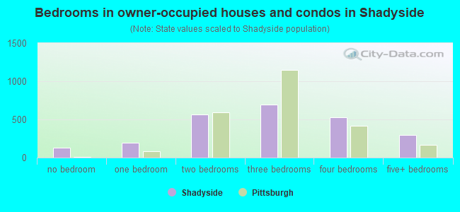 Bedrooms in owner-occupied houses and condos in Shadyside