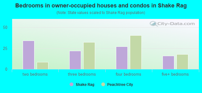 Bedrooms in owner-occupied houses and condos in Shake Rag