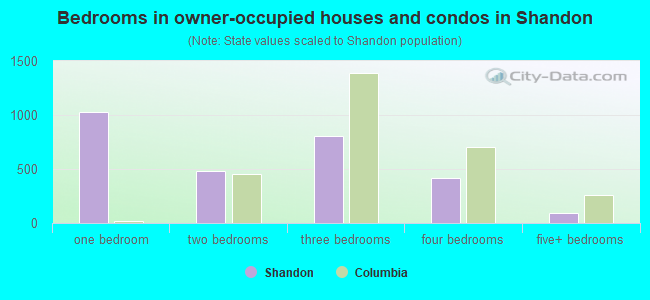 Bedrooms in owner-occupied houses and condos in Shandon