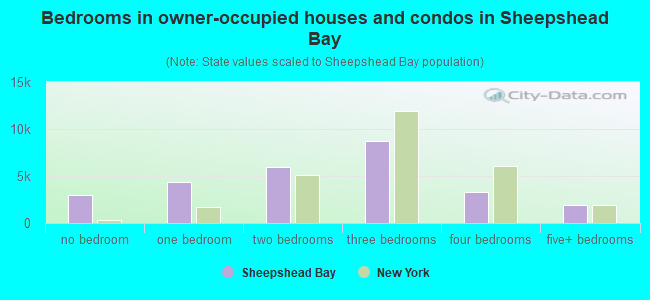 Bedrooms in owner-occupied houses and condos in Sheepshead Bay