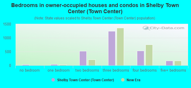 Bedrooms in owner-occupied houses and condos in Shelby Town Center (Town Center)