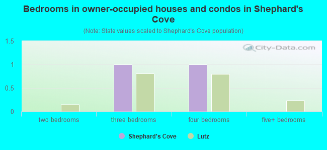 Bedrooms in owner-occupied houses and condos in Shephard's Cove