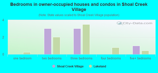 Bedrooms in owner-occupied houses and condos in Shoal Creek Village